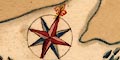 compass rose snip image